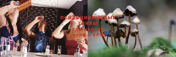винт Арсеньев
