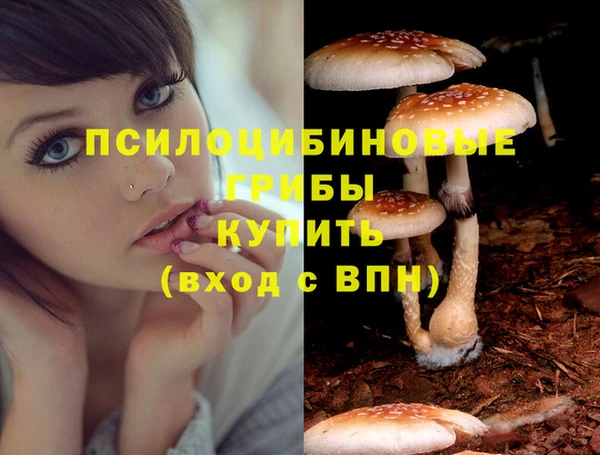 мескалин Горно-Алтайск