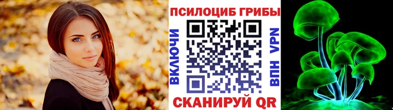 Псилоцибиновые грибы Psilocybe  Старая Купавна 