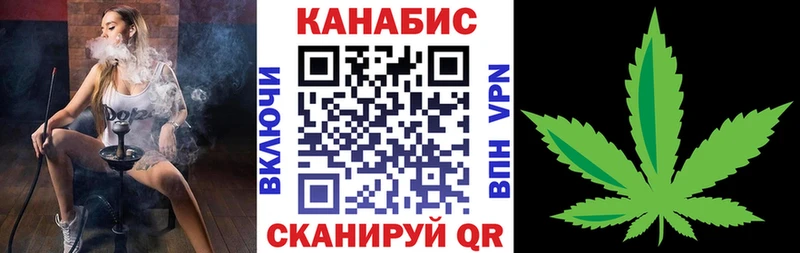 Конопля гибрид  Старая Купавна 